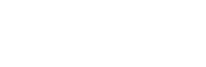 bigger site logo